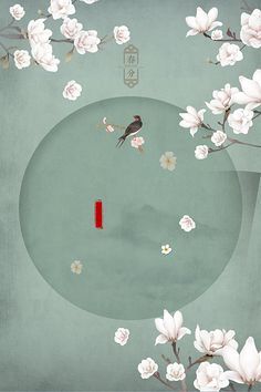 菠萝导航在线